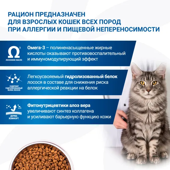 Product 6