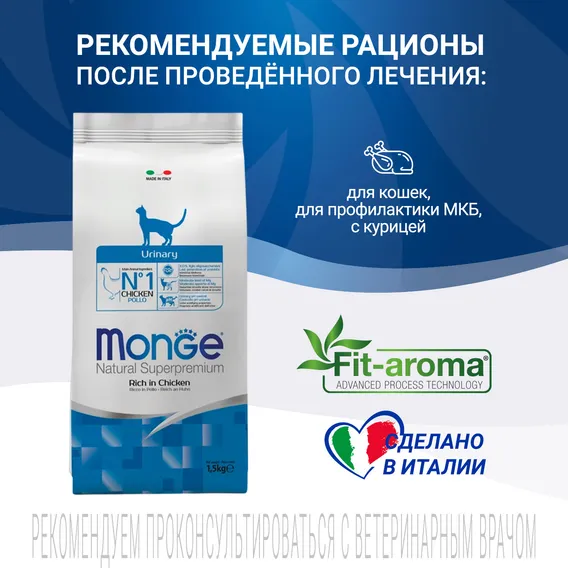 Product 11