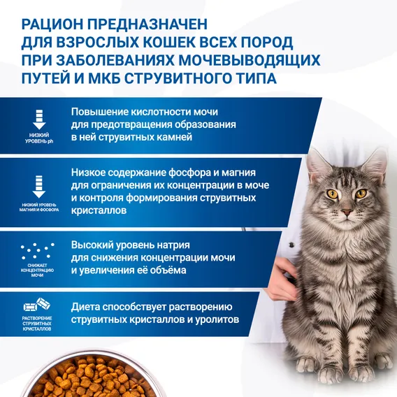 Product 7