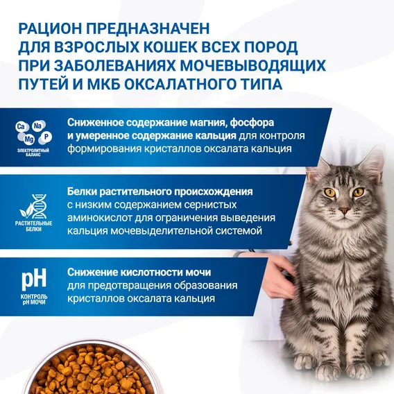 Product 7