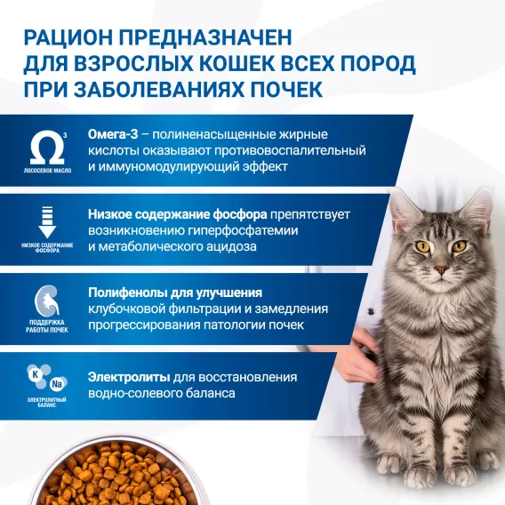 Product 7
