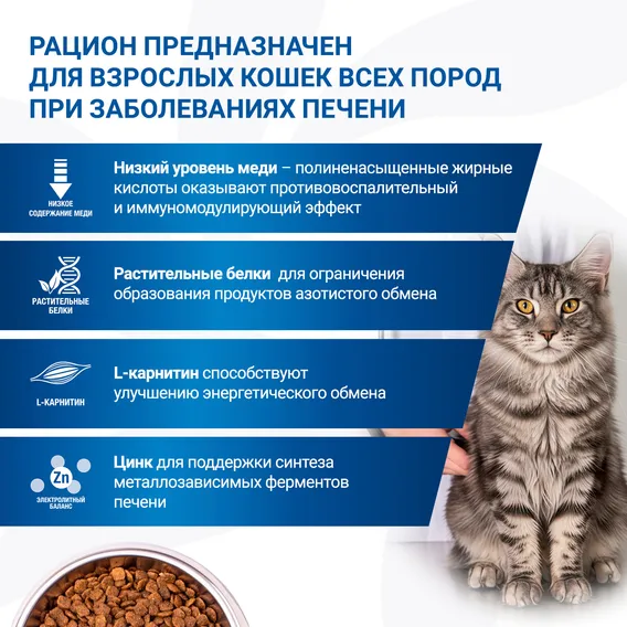 Product 6
