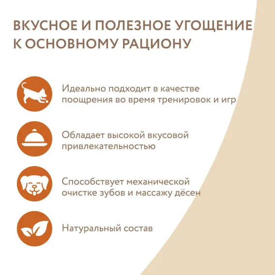 Product 13