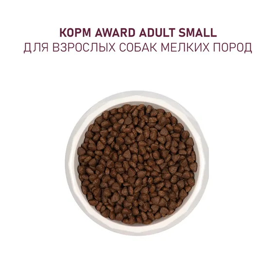 Product 7
