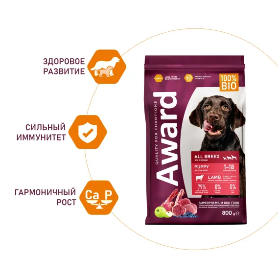 Product 5
