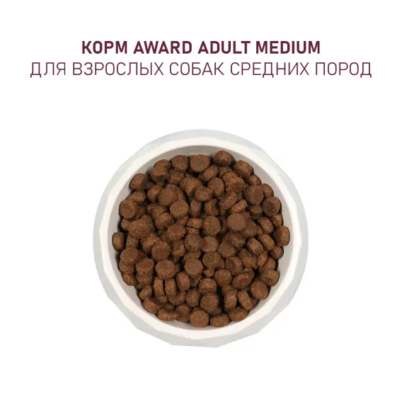 Product 8