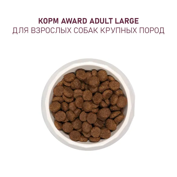 Product 8