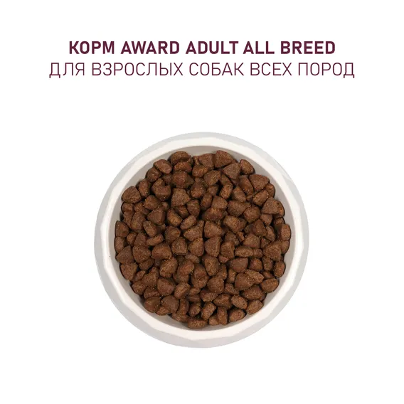 Product 8
