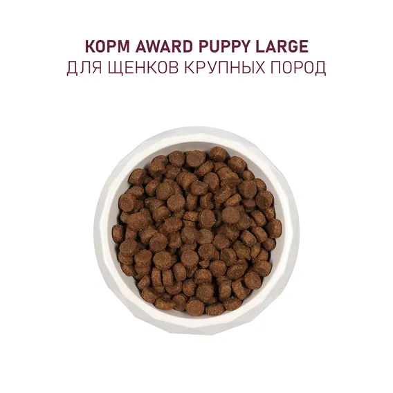 Product 7