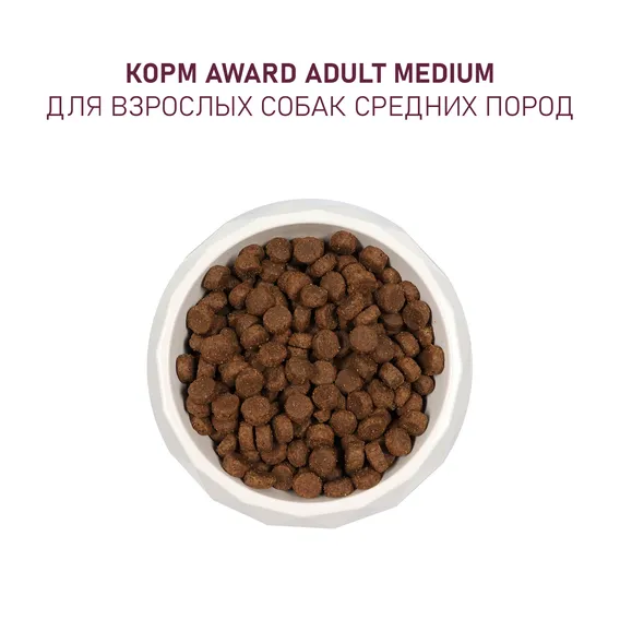 Product 7