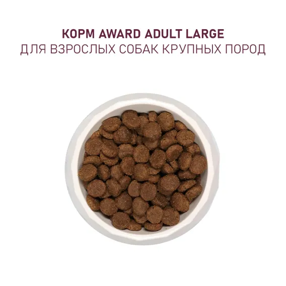 Product 8