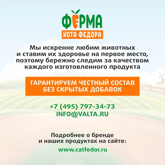 Product 13