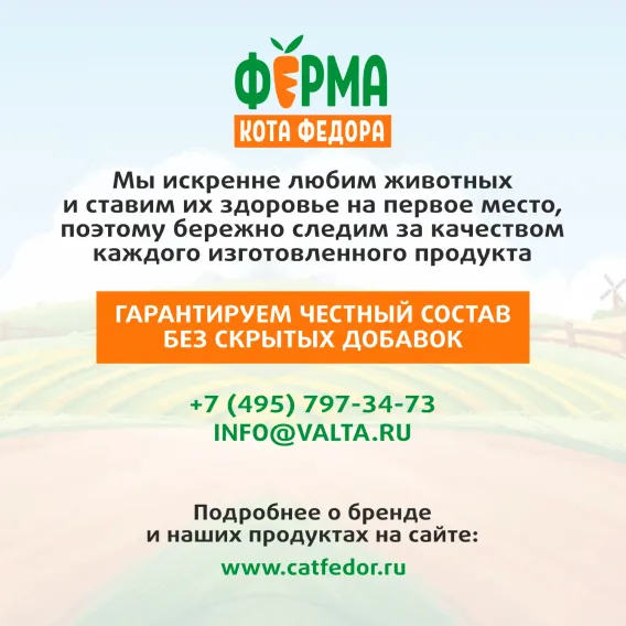 Product 12