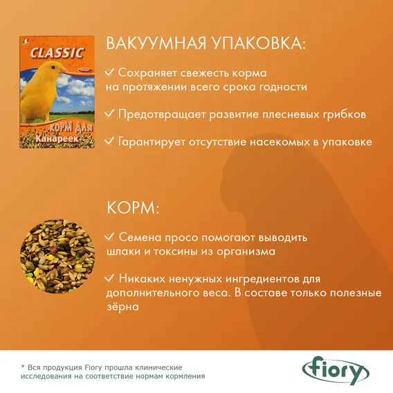 Product 6