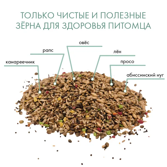 Product 7