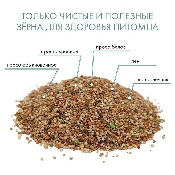 Product 7