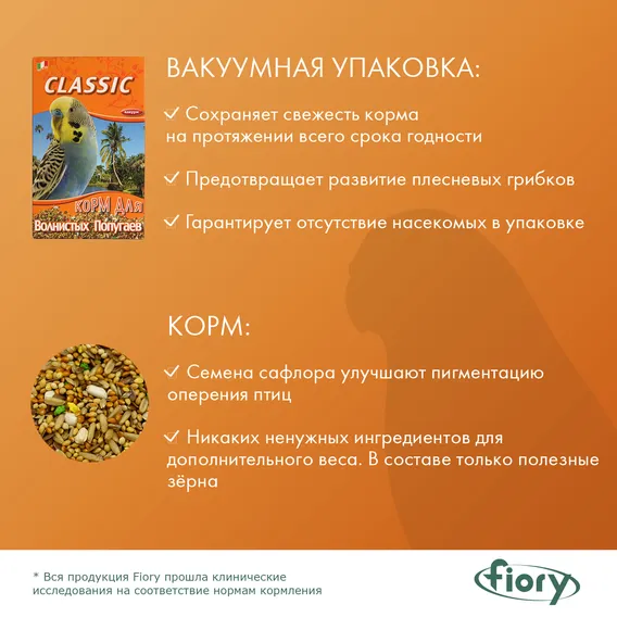 Product 6