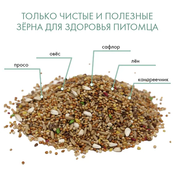 Product 7