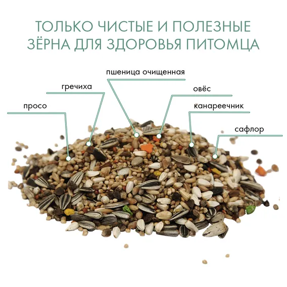 Product 7