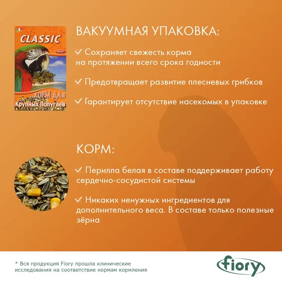 Product 6
