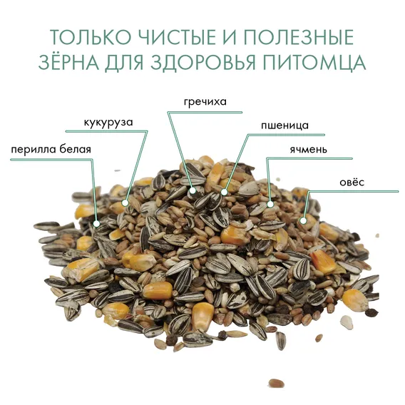 Product 7