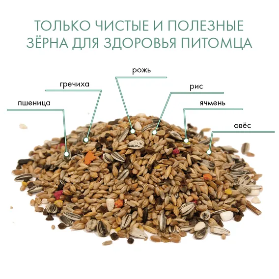 Product 7