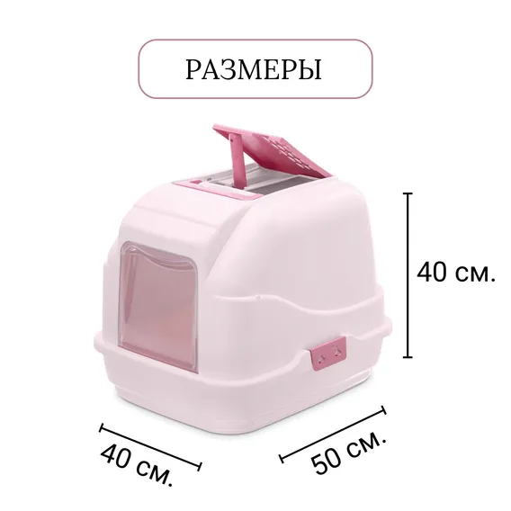 Product 4
