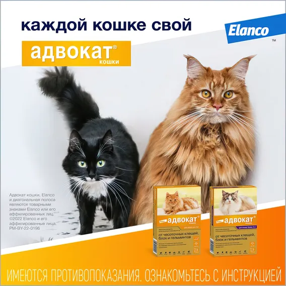 Product 12