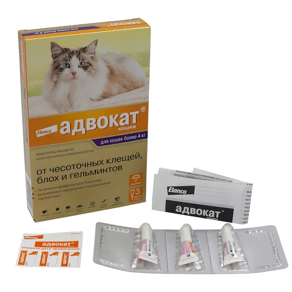Product 13