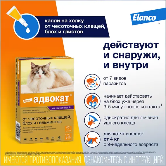Product 2