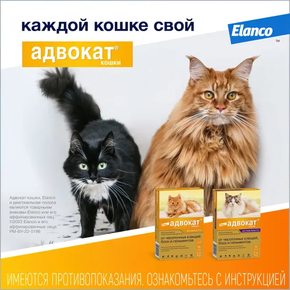 Product 12