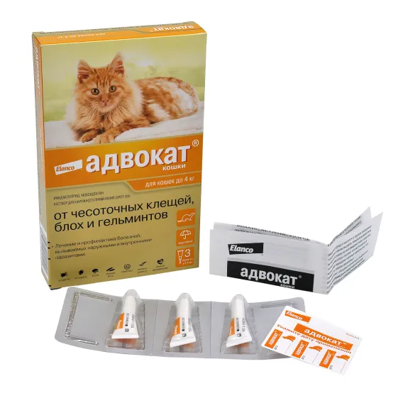 Product 13