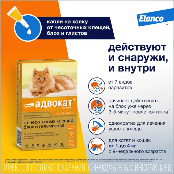 Product 2