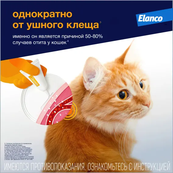 Product 6