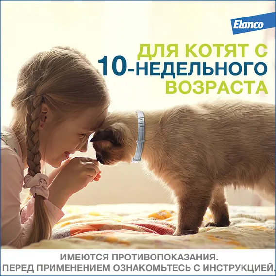 Product 10