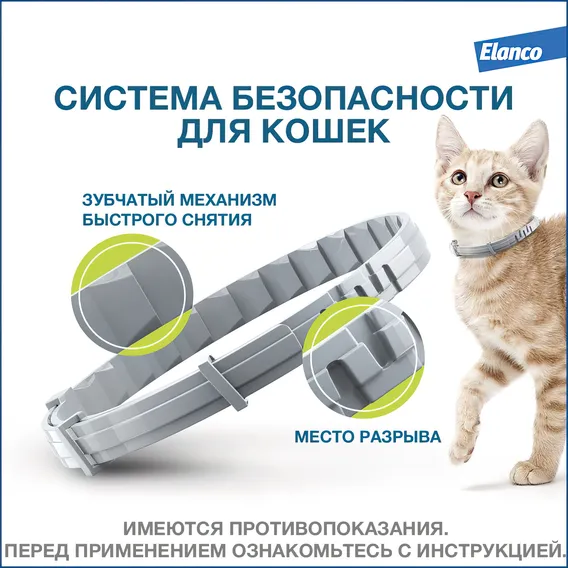 Product 11