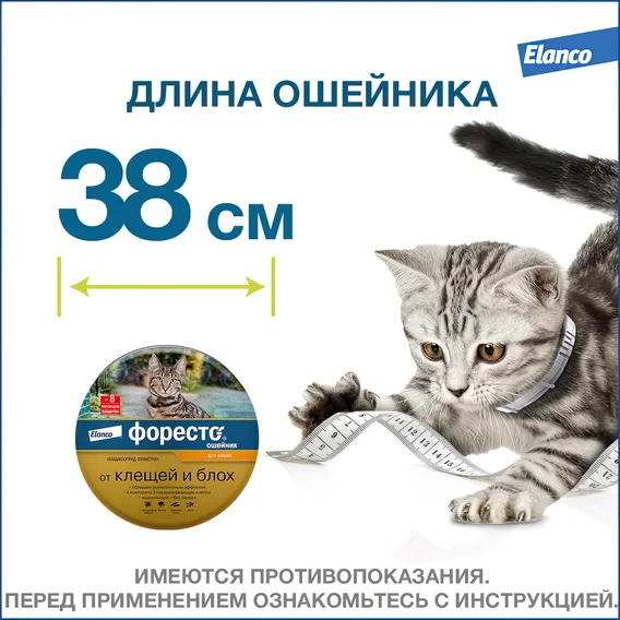 Product 12