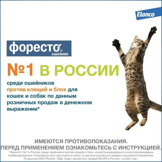 Product 13