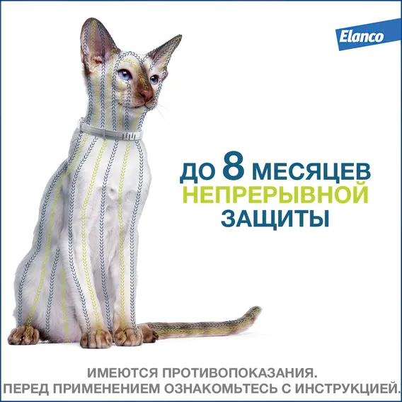 Product 7