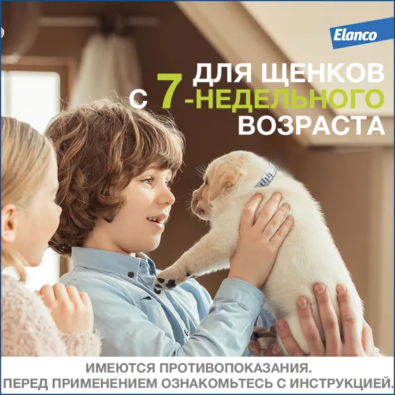Product 10