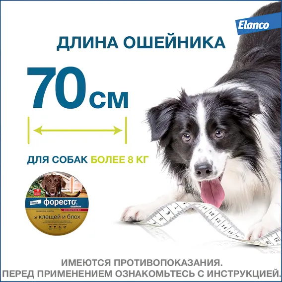 Product 11
