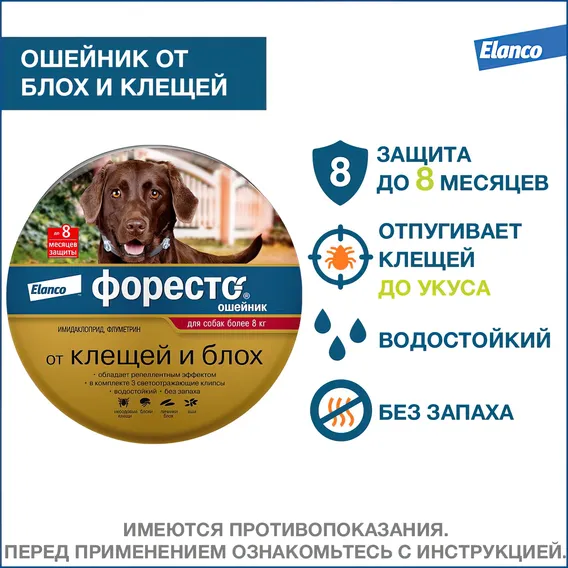 Product 2