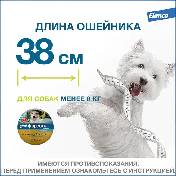 Product 11
