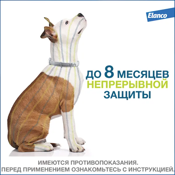 Product 7