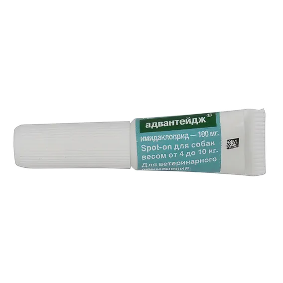 Product 6