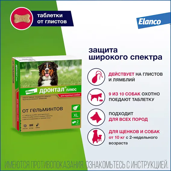 Product 2