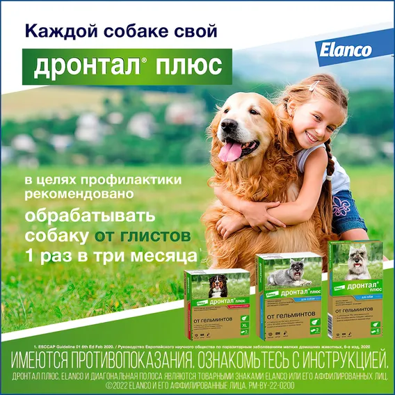 Product 8