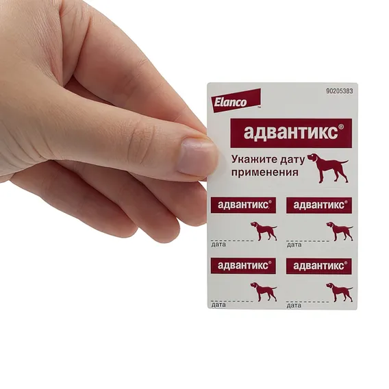 Product 5