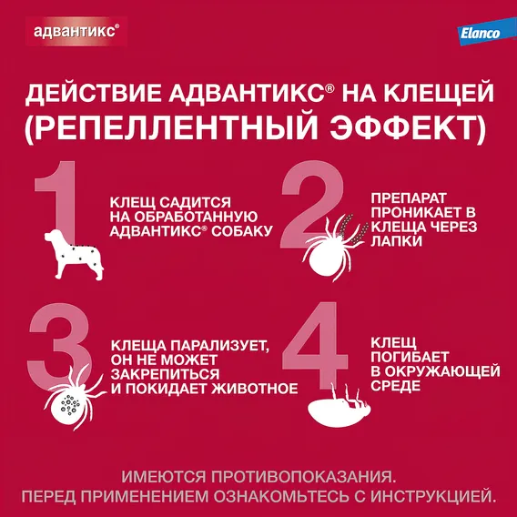 Product 8