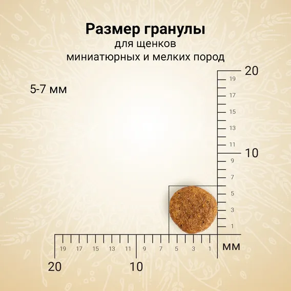 Product 6